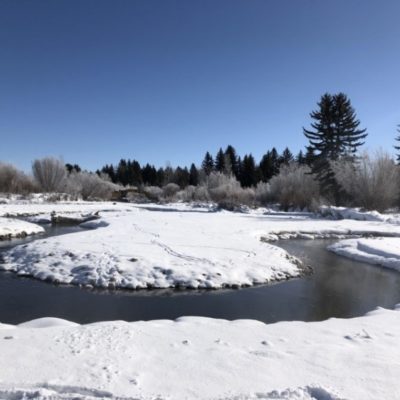 Bar BC Creek Restoration