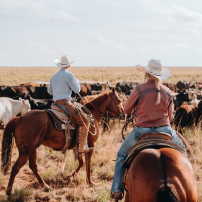 Women in Agriculture Programming Initiative